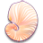 Argonauta Argo