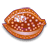 Cypraea Cervus