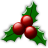 Christmas Holly
