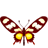 Papilio Haneli