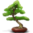 Bonsai