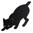 Black Cat