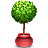 Ornamental Tree